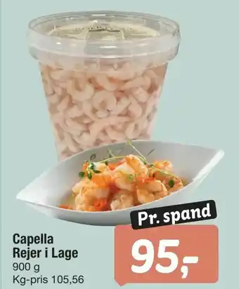 Capella Rejer i Lage