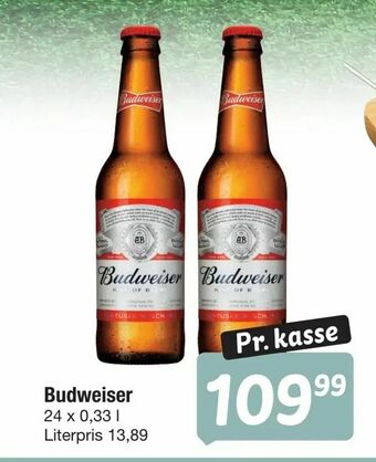 Budweiser