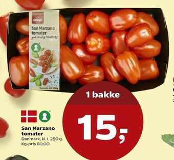 San Marzano tomater
