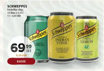 Ginger ale