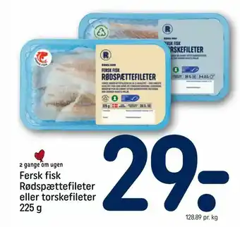 REMA 1000 Fersk fisk Rødspættefileter eller torskefileter tilbud