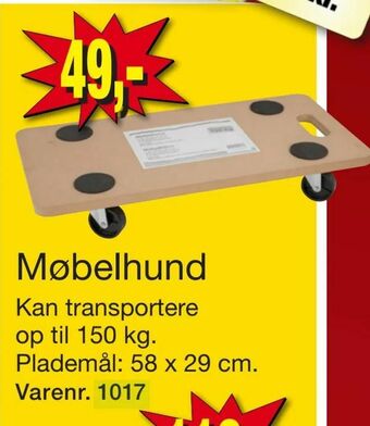 Møbelhund