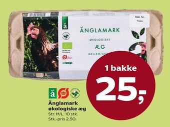 Dagli'Brugsen Änglamark økologiske æg tilbud