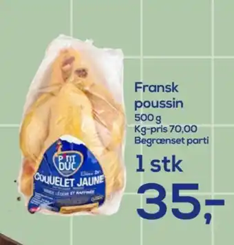 Ukendt poussin
