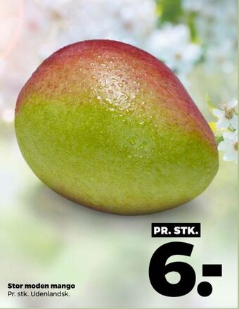 Netto Ukendt mango tilbud