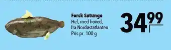 Citti Fersk søtunge tilbud