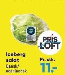 Bilka Iceberg salat tilbud