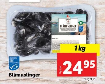 Blåmuslinger