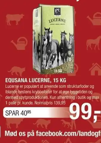 Equsana lucerne