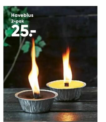 Bilka Haveblus tilbud