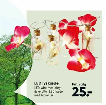 Bilka LED lyskæde tilbud