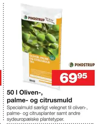 50 l Oliven-, palme- og citrusmuld