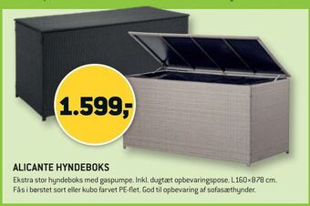 Alicante hyndeboks