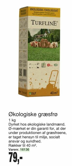 Harald Nyborg Økologiske græsfrø tilbud