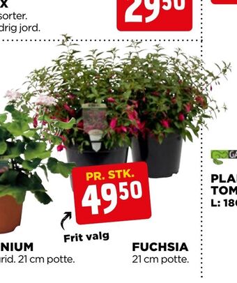 jem & fix Fuchsia tilbud