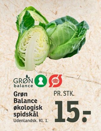 SPAR Grøn Balance økologisk spidskål tilbud