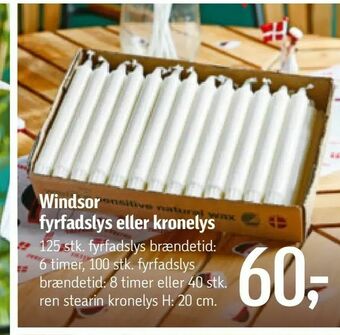 Føtex Windsor fyrfadslys eller kronelys tilbud