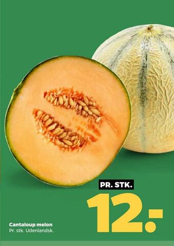 Netto Cantaloup melon tilbud