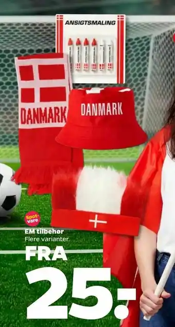 Netto EM tilbehør tilbud