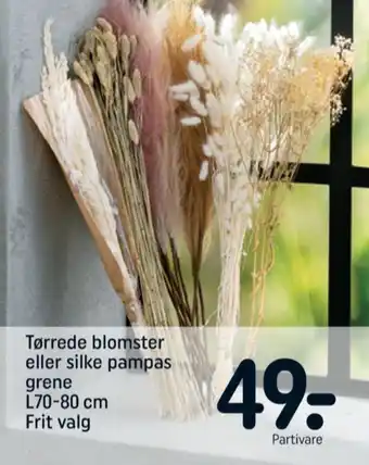 REMA 1000 Ukendt tørrede blomster tilbud
