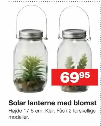Solar lanterne med blomst