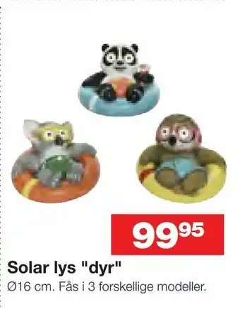 Bauhaus Solar lys "dyr" tilbud