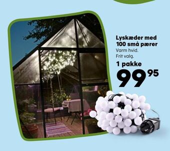 Kvickly Lyskæder med 100 små pærer tilbud