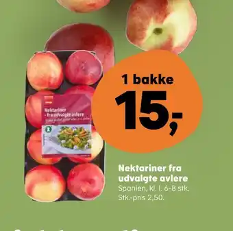 Kvickly Nektariner fra udvalgte avlere tilbud