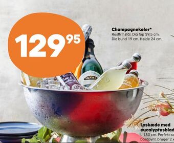 Champagnekøler