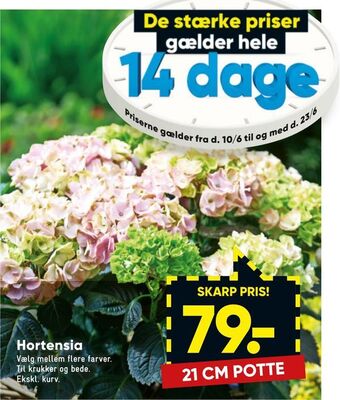 Bilka Hortensia tilbud