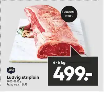 Bilka Ludvig striploin tilbud