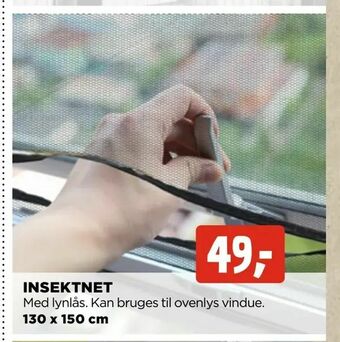 Insektnet