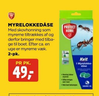 Myrelokkedåse