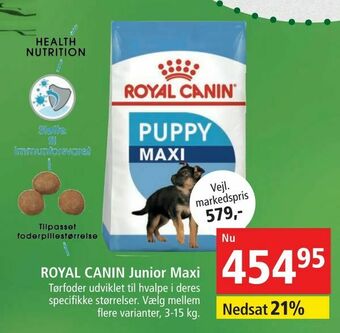 Maxi Zoo ROYAL CANIN Junior Maxi tilbud