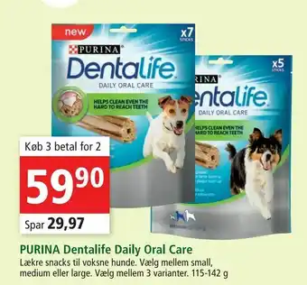 Maxi Zoo PURINA Dentalife Daily Oral Care tilbud