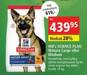 Hill‘s SCIENCE PLAN Mature Large eller Medium