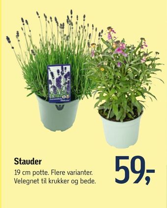 Føtex Stauder tilbud