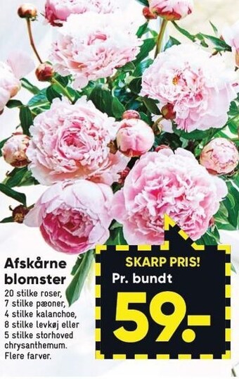 Bilka Afskårne blomster tilbud