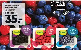 Bilka Blåbær, hindbær el. brombær - 3 bk. tilbud