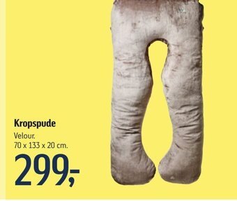 Kropspude