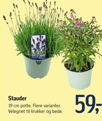 Føtex Stauder tilbud