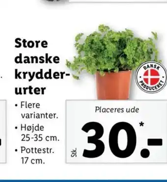 Lidl Store danske krydderurter tilbud