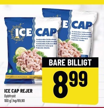 Løvbjerg Ice Cap rejer tilbud