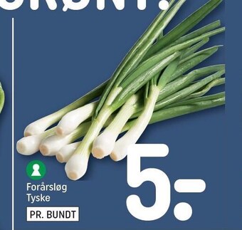 REMA 1000 Forårsløg tilbud