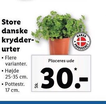 Lidl Store danske krydderurter tilbud