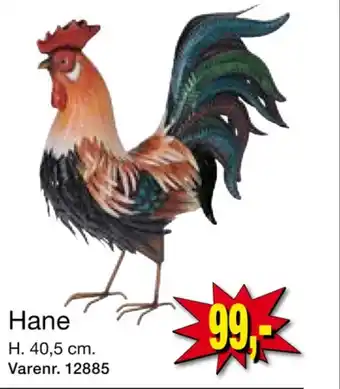 Ukendt havefigurer