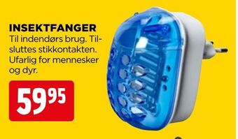 Insektfanger
