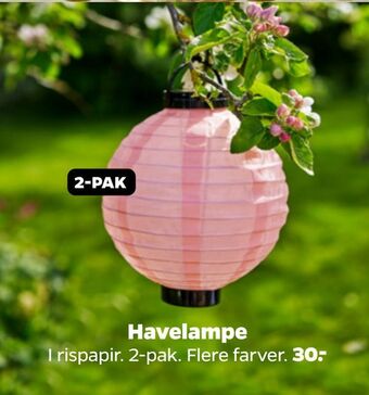Havelampe