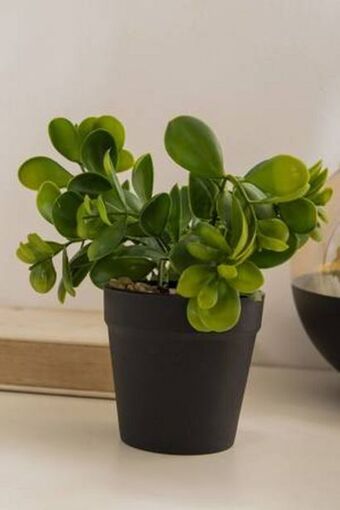 De Prati Planta artificial con macetero oferta