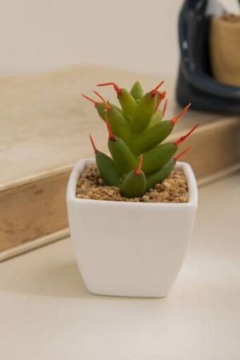 De Prati Planta artificial suculenta con macetero concepts oferta